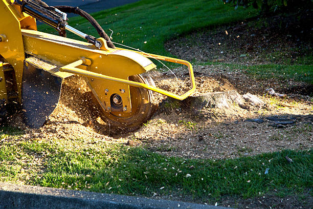 Lawn Maintenance Plans in Oblong, IL